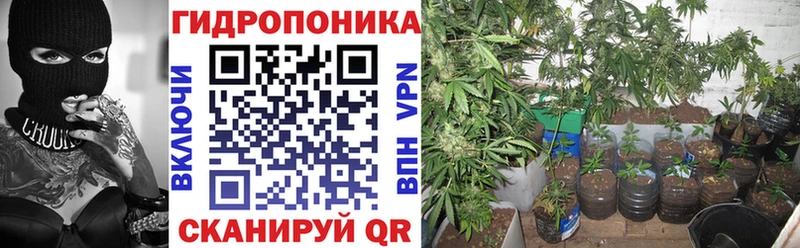 blacksprut онион  Бугуруслан  Конопля THC 21% 